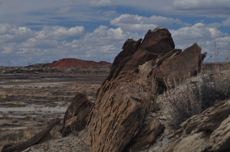 bisti wilderness
